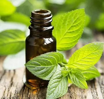 peppermint_detox safely